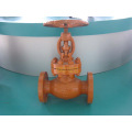 Bellow Seal BS Standard Globe Valve